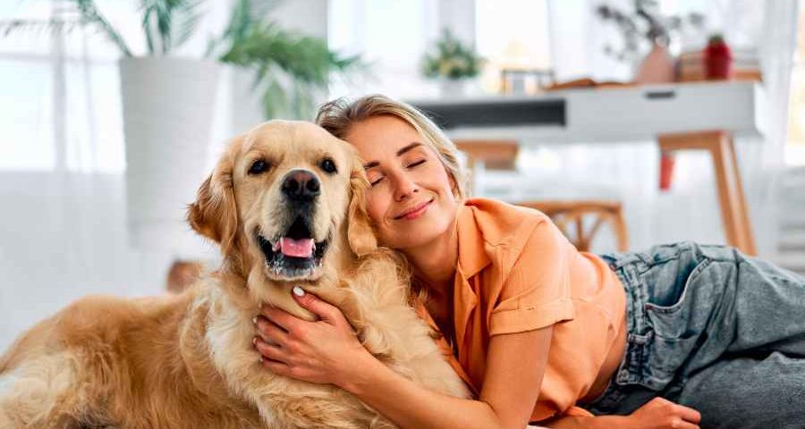 Seguro para mascotas